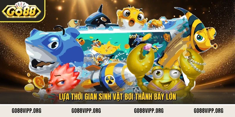 Lựa thời gian sinh vật bơi thành bầy lớn